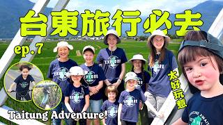 騎行穿越台東標誌性的稻田！(台灣大家庭，大冒險#7) Biking Through Taitung's Iconic Rice Fields (TW Big Fam. Adventure Ep7) screenshot 5