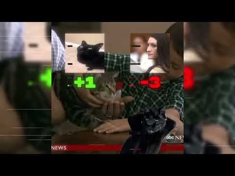 MEOW BOSS • SLAVYAN13 • Reverb • TikTok Version