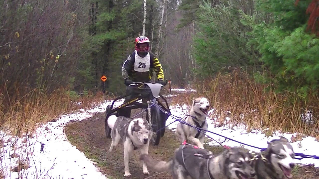 2017 Dirty Dog Dryland derby 6 Dog Rigs - YouTube