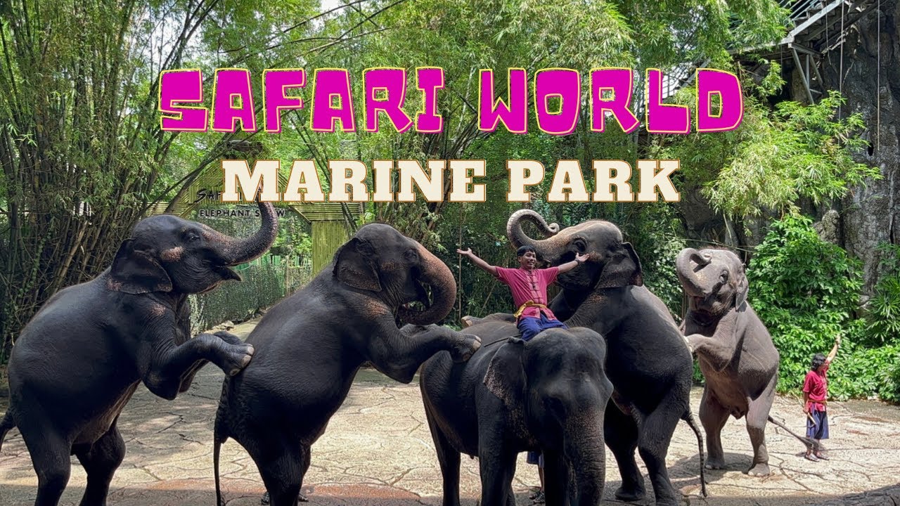 Safari World Marine Park Bangkok Thailand 4K YouTube Safari World Marine Park Bangkok Thailand 4K YouTube