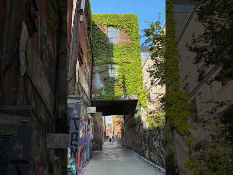 I Found Another Secret Button In Toronto Grafittialley