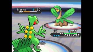 Pokémon World Tournament - Grass Type Expert