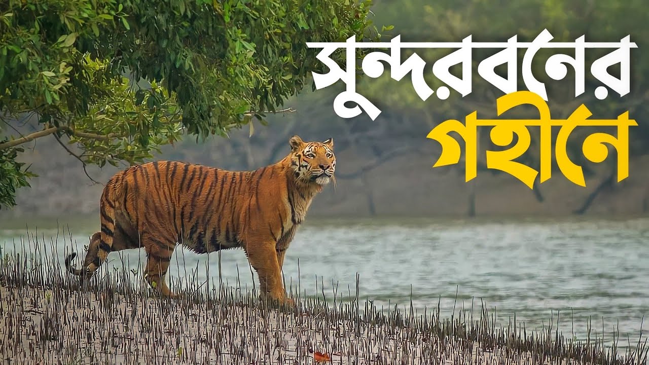 সুন্দরবনের গহীনে যাওয়ার গল্প 🇧🇩 World Largest Mangrove Forest | Dhaka to Sundarban | Full Episode
