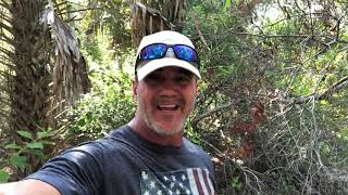 Lot Verification Video