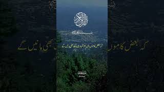 Surah Muhammad S.A.W#Allah #AllahuAkbar #islamicholybook #Quran #foryou #foryouall #forypupage