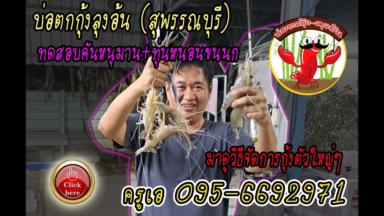 ตกกุ้งบ่อลุงอ้นสุพรรณบุรี1