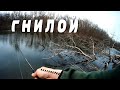 Самые популярные водоёмы ВОЛГО-АХТУБИНСКОЙ ПОЙМЫ.  Ерик Гнилой. //Рыбалка БЕЗРОМАРИО//