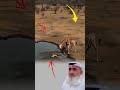 ما أخطأك لم يكن ليصيبك وإذا أراد الله لك النجاة جاءك الفرج من حيث لا تحتسب Youtubeshorts