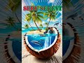 Seru Serevi - Vude
