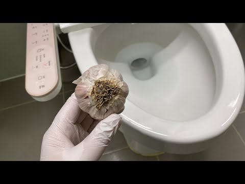 <strong>변기에</strong> 마늘을 넣고 하룻밤 자고 일어나면 놀라운 일이 벌어집니다!