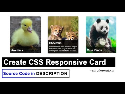 Create CSS Responsive Card with Animation | CSS Card