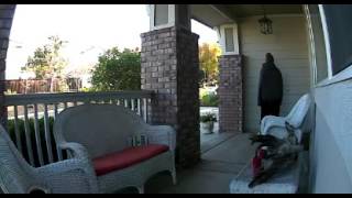 CLAYCORD.com - #1 - Alleged Burglar Ringing Doorbell