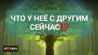 видео: ЧТО У НЕЁ С ДРУГИМ⁉️ | таро для мужчин картинка: ЧТО У НЕЁ С ДРУГИМ⁉️ | таро для мужчин