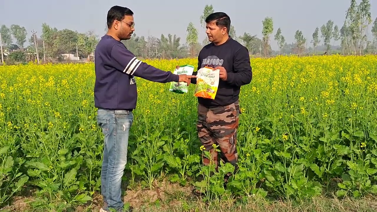 बलवान जिंक के चमत्कारी रिजल्ट 