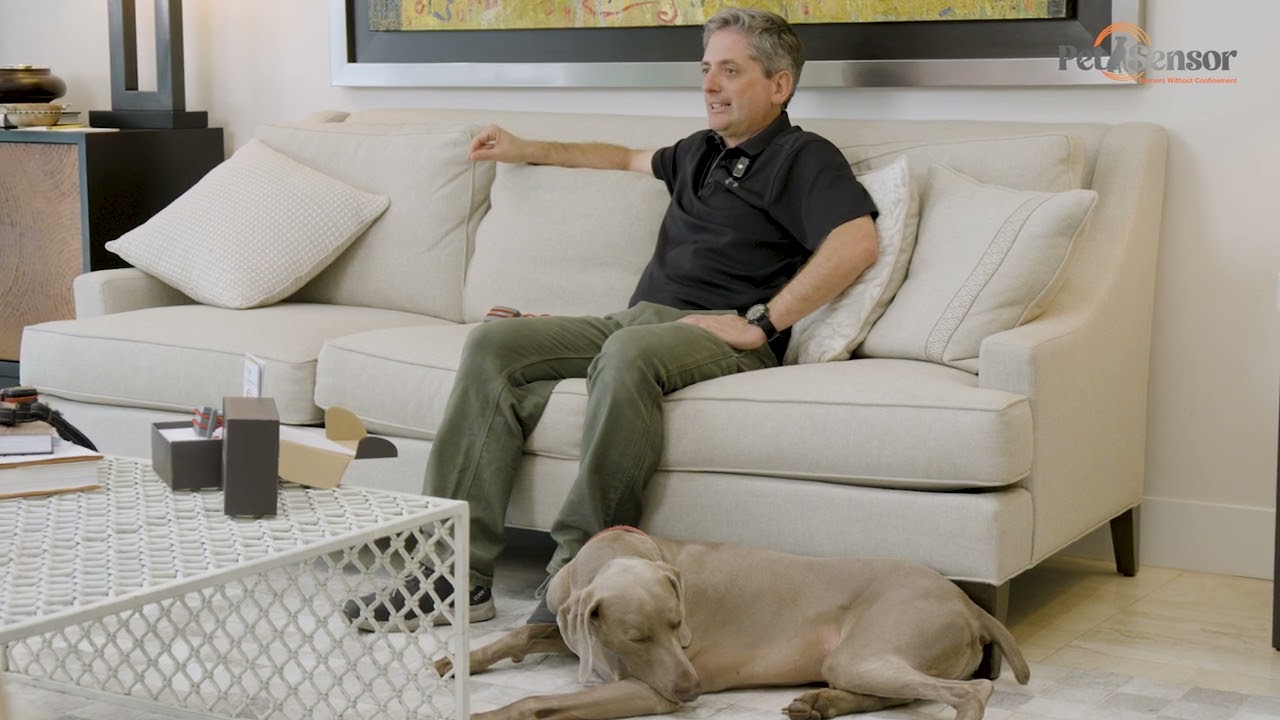 Pet Sensor as a Communication Tool Between owner and Pet