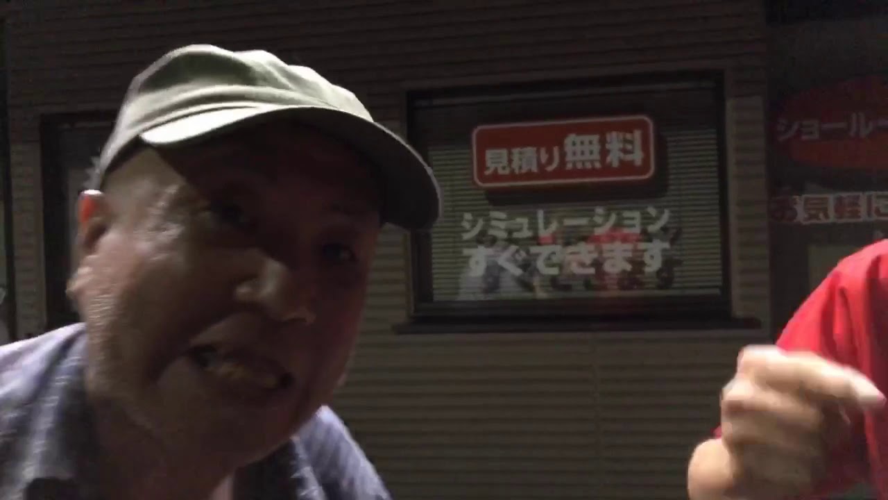 ひら パー 着ぐるみ