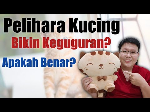 BAHAYA PELIHARA KUCING SAAT HAMIL - TANYAKAN DOKTER