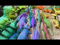 Satisfying Dinosaurs Jurassic, Indominus Rex, Tyrannosaurus Rex, Carnotosaurus, Plesiosaurus