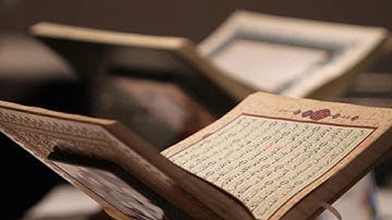 سورة الجاثية-وديع اليمني
