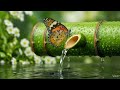 26 🌸 Bamboo Water & Soft Piano 💧 — Relaxing Music for Meditation, Zen Garden Calm & Inner Balance