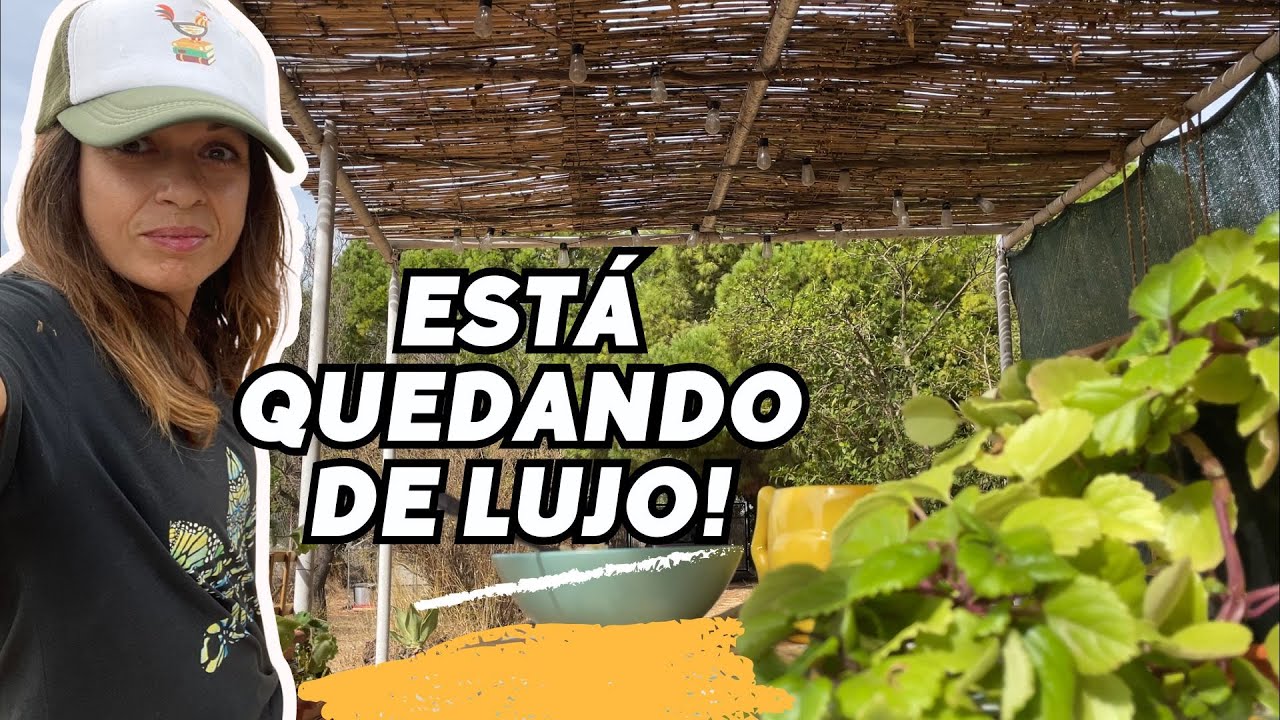 Bonitas mejoras, compras y redistribución de plantas 🪴 vlog251