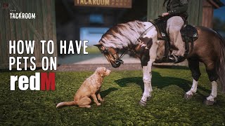 RedM Equestrian & Pets Guide: Master the Pet Script on The Tackroom Server!