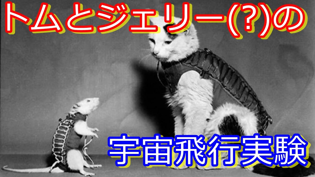 動物たちの宇宙旅行 【公式通販】