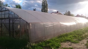 polytunnel wind 4