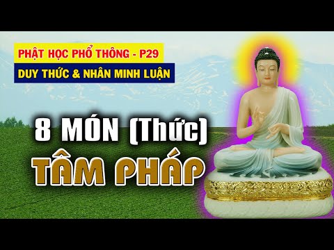 Video Tám Thức của Tâm Pháp theo Duy Thức Học | Phật Học Phổ... - YouTube