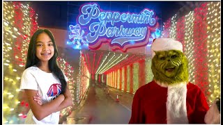 Holiday Fun Christmas Lights at Peppermint Parkway | Toys Academy