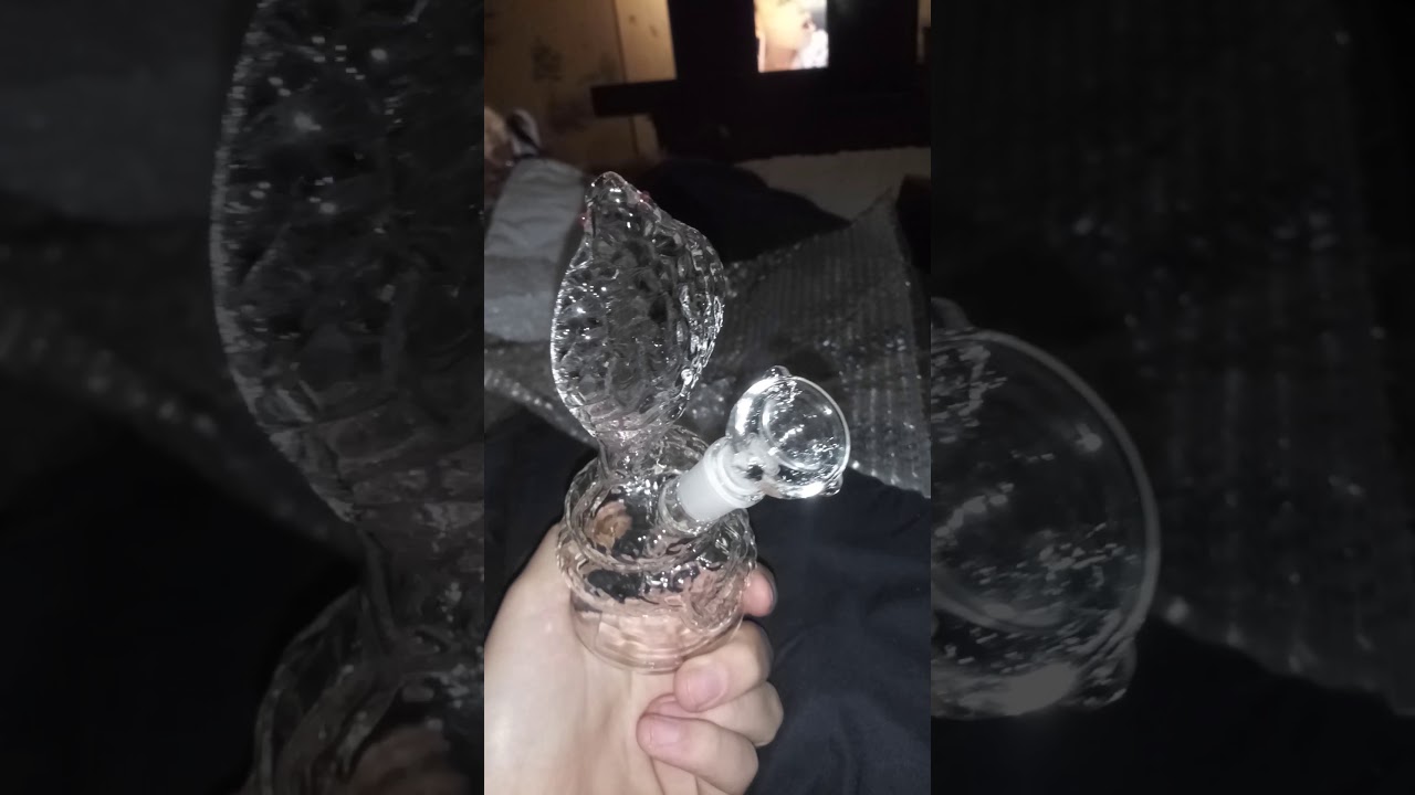 Daily High Club "king cobra" October 2019