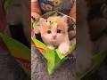 قطه تأكل شيبسي قطه المنزل مضحك قطه صغيره قطه كيوت تربية القطط قطه تأكل شيبسي قطه المنزل مضحك قطه صغيره قطه كيوت تربية القطط