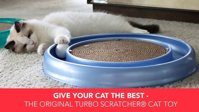 Bergan Turboscratcher Cat Toy Review