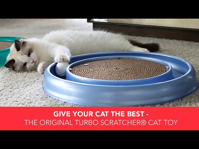 Turbo Scratcher Cat Toy