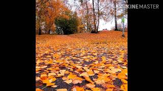 صور من فصل الخريف لحدى الدولة الأوربية