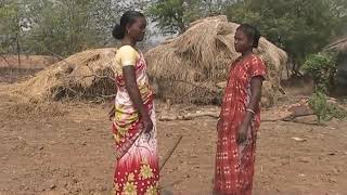 Bed Preparation for ginger cultivation