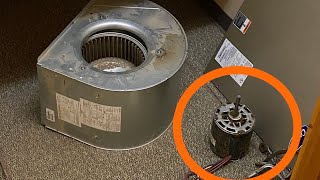 Celebrity How to replace a furnace blower motor. Profile
