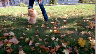WP 20151004 13 22 47 Pro1
