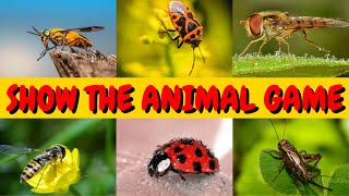 Show me The Insect Game For Kids | Where is The Bug ? screenshot 4