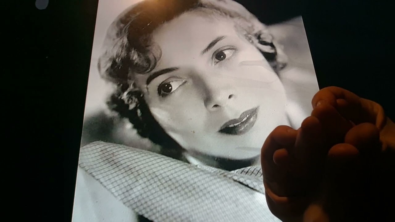 Horacio the handsnake - Sara Haden