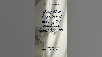 Đại Dương Kêu Cứu! Bạn Có Thể Làm Gì Hôm Nay? #racthainhua #onhiemnhua