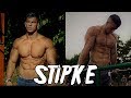 Explosive calisthenics beastbest of dejan stipic stipke