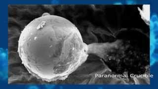 Metallic Alien Lifeform Discovered By Scientist's