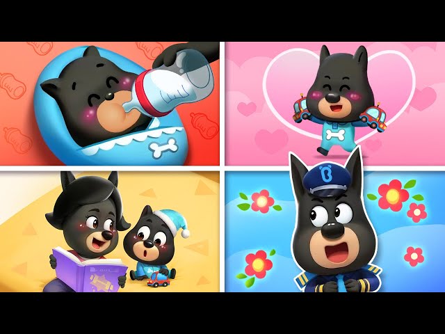 Mother's Day Special | Babysitting Is NOT Easy | Kids Cartoons | Sheriff Labrador class=