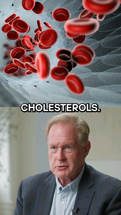 What Actually Causes High Cholesterol? | Dr. Robert Lustig