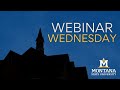 Webinar Wednesday - Student Success: Tips, Tricks, and Tactics Spring 2024