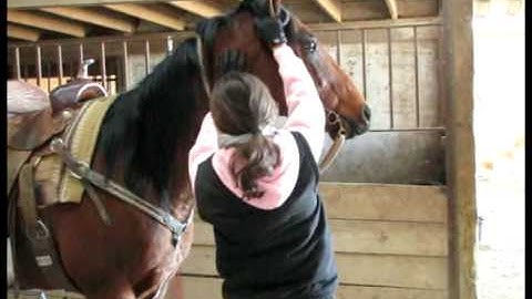 Valley View Ranch      - Linus -      *For up-to-date info, price, etc., go to our website*