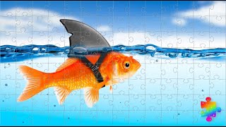 Shark Fish - Jigsaw Puzzles for Kids - Puzzle Planet screenshot 2