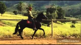 VID 20160331 WA0005