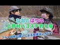 なおとばりの上野村ハコスチ釣り場【ペレットフライで色による反応を調べてみた】